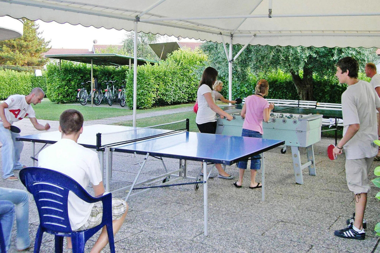 Others 4, Apartment in Moniga del Garda, Brescia
