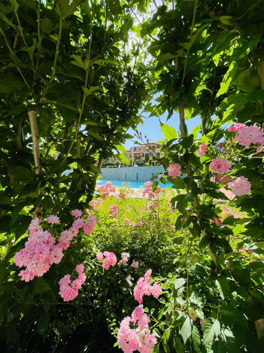 Others 4, Borgo del Torchio in Manerba del Garda, Brescia
