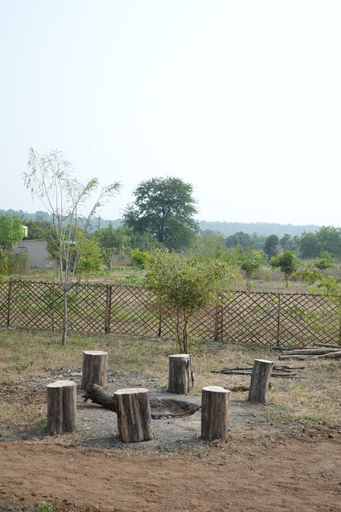 Miscellaneous 4, Junglee Bagicha Agro Tourism, Yavatmal