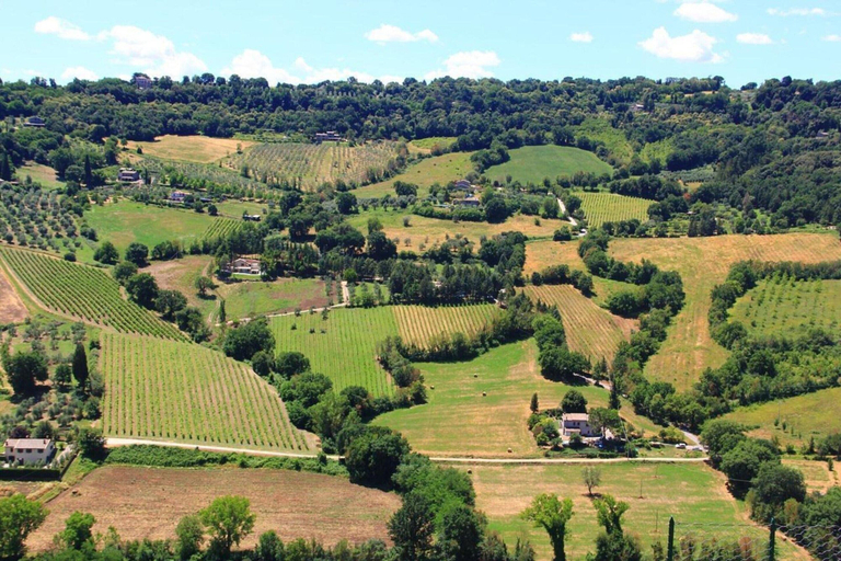 View from property 2, Holiday Home Near Assisi With Pool, Perugia