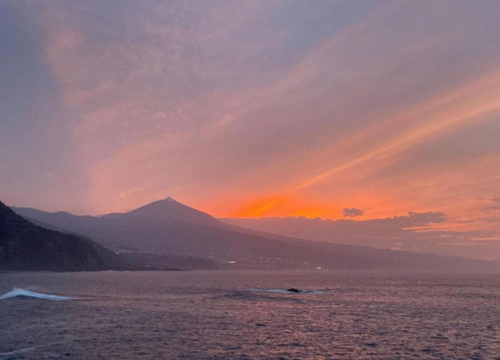 View from property 5, Holiday Home in Puerto Near Playa Jardin, Santa Cruz de Tenerife