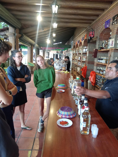 Food & Drinks 2, Iguana Hostel Oaxaca, Del Centro