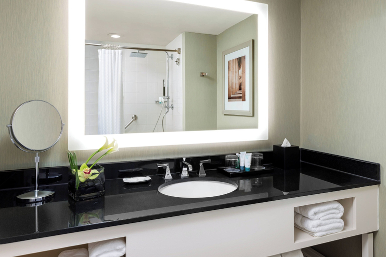 Bathroom 5, The Westin Arlington, Arlington