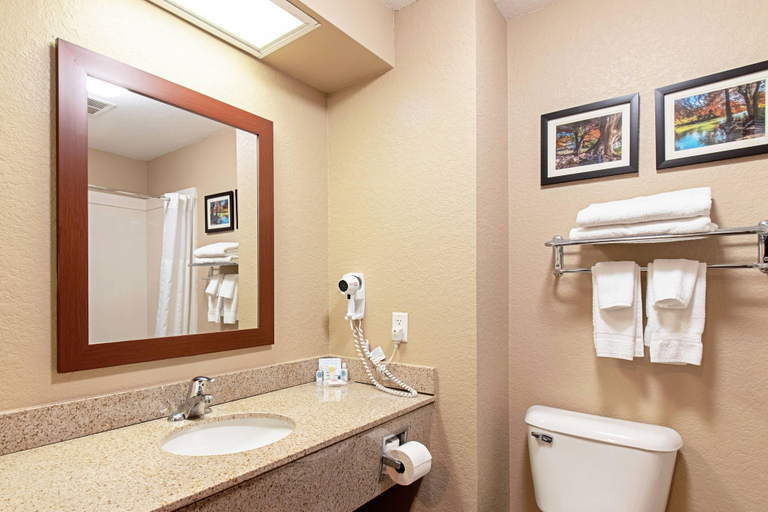 Bathroom 5, Comfort Inn and Suites Fredericksburg, Gillespie