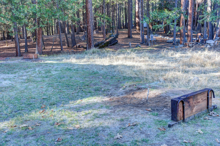 Interior 2, Ashbaugh Meadow, Mariposa
