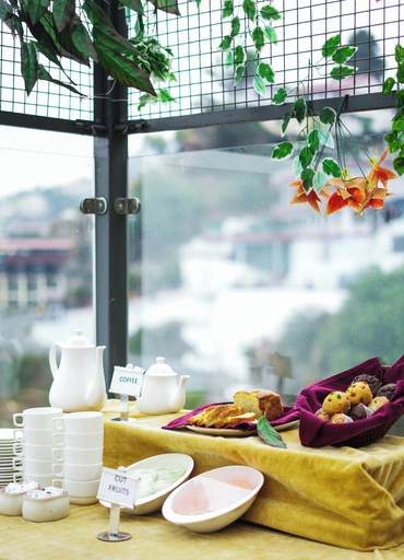 Food & Drinks, The novello by hotel evergreen, Dehradun