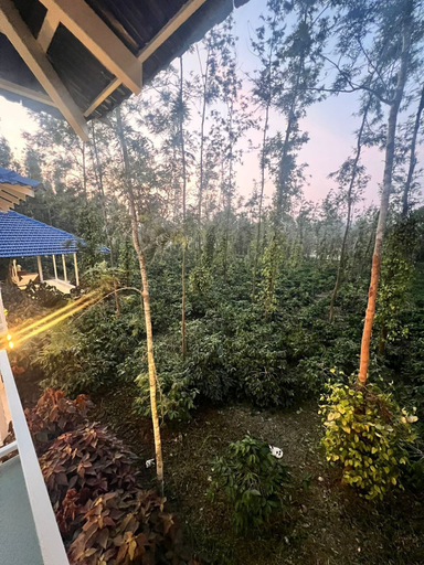 Property grounds 2, AETHERIA ESTATE RETREAT, Chikmagalur