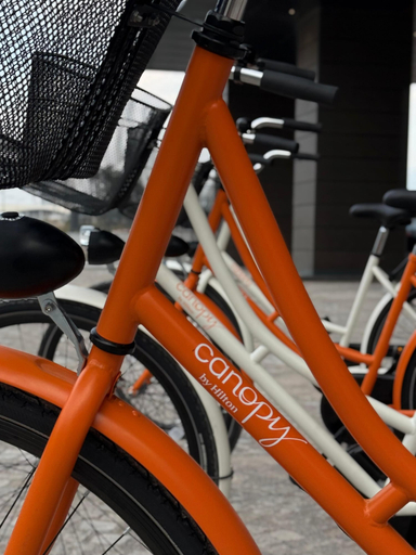 Bicycling, Canopy By Hilton Izmir Bomonti, Konak