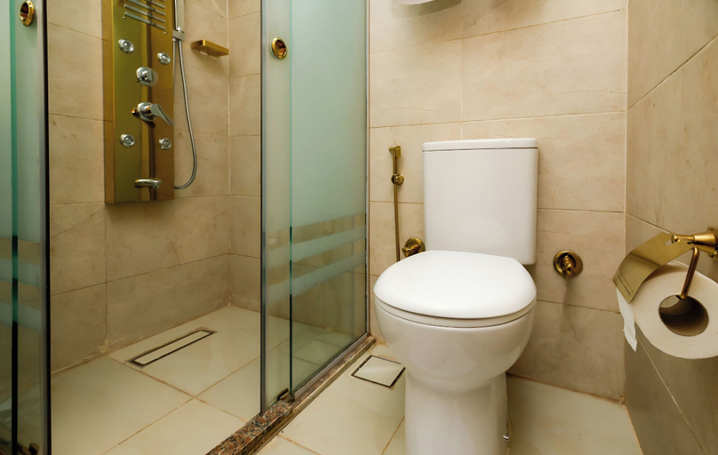 Bathroom 4, Sahary Pyramids View Hotel, Al-Ahram