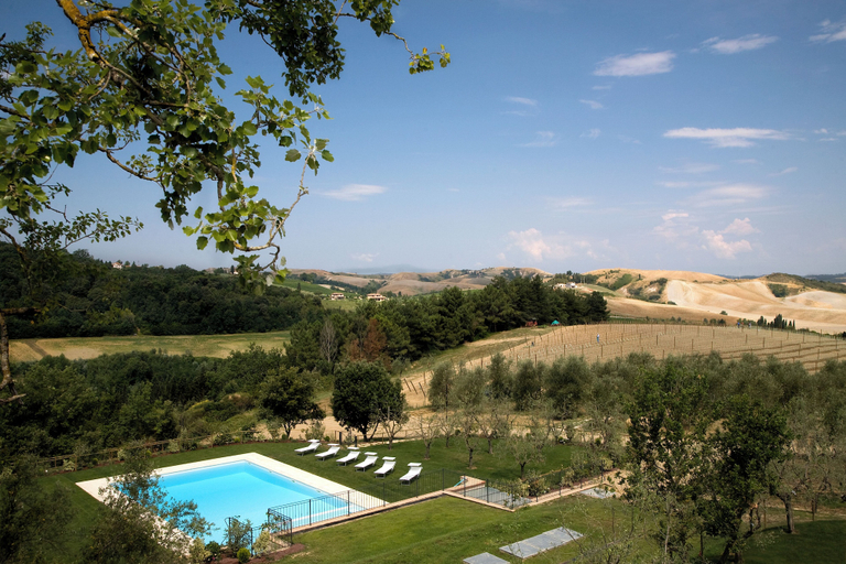 Sport & Beauty 4, Borgo della Meliana, Florence