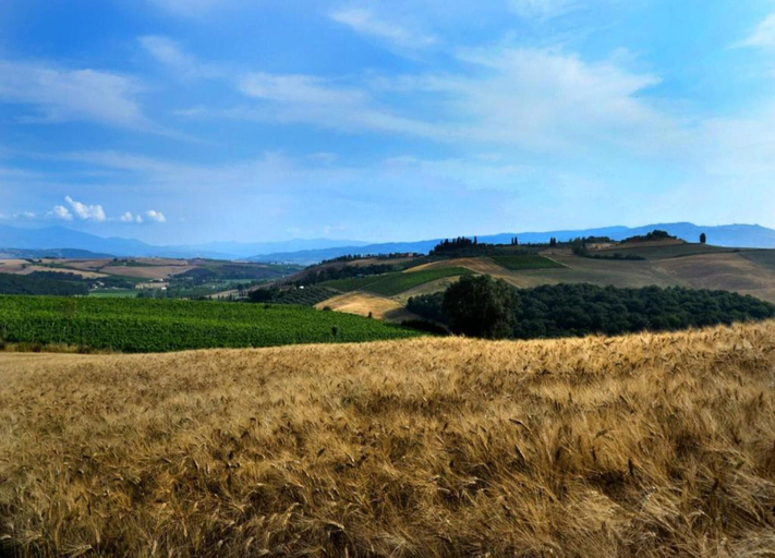 View from property 2, Group Retreat With Garden in Tuscany, Siena