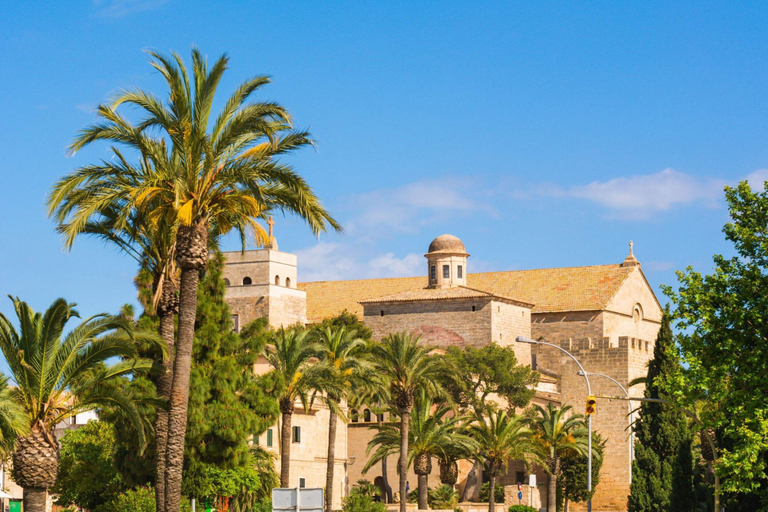 Exterior & Views 2, Apartment Voramar Baix in Alcudia, Baleares