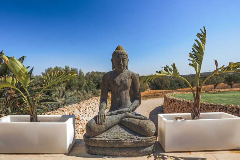 Exterior detail 4, Sa Canoveta With Designer Kitchen, Baleares