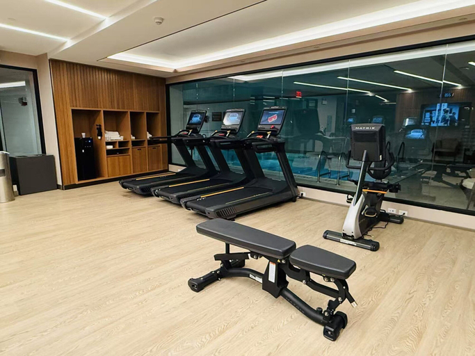 Room 5, New Luxury Penthouse w Pool Gym in Flushing, New York