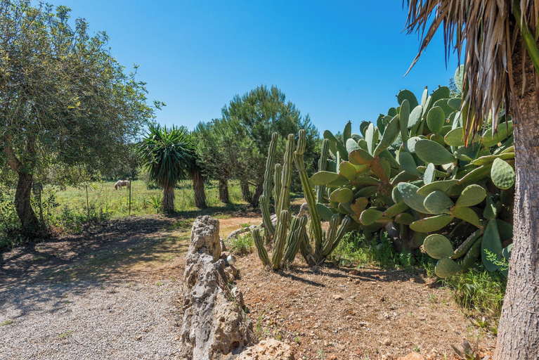 Others 3, Can Rafalino - Villa With Private Pool In Inca, Baleares