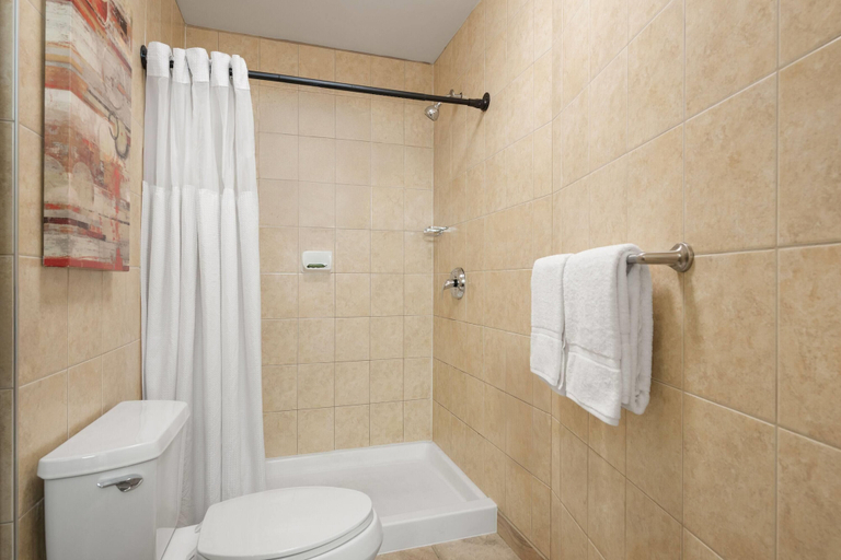 Bathroom 4, Waterloo Suites Hotel, Trademark Collection by Wyndham, Waterloo