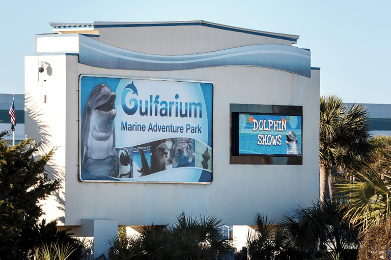 Pool 3, Gulf Dunes 304- Saltwater Solace, Okaloosa