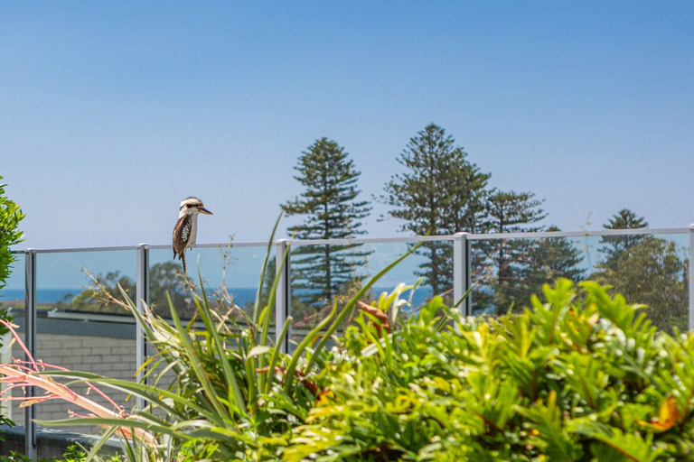 Balcony 2, Seaside Retreat With Parking and Balcony, Pittwater