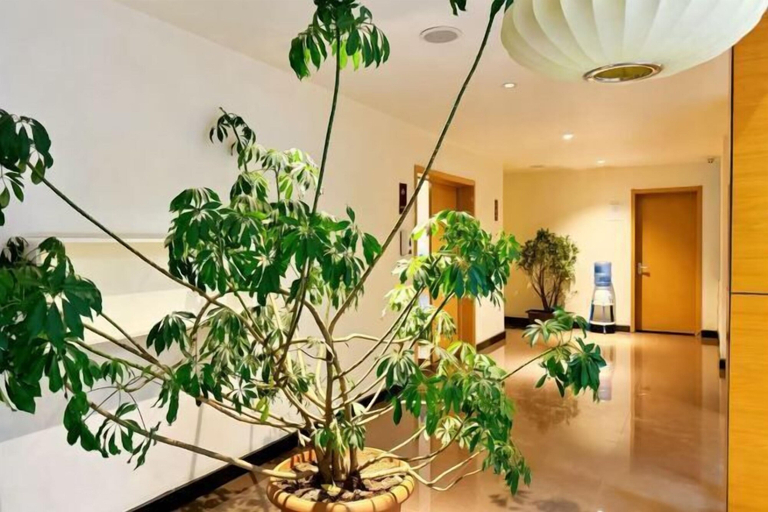 Interior 3, Taishan guest house, Addis Abeba