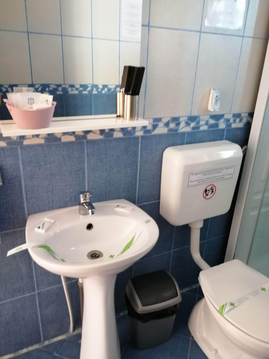 Bathroom 4, Pensiunea Ioana, Curtea De Arges
