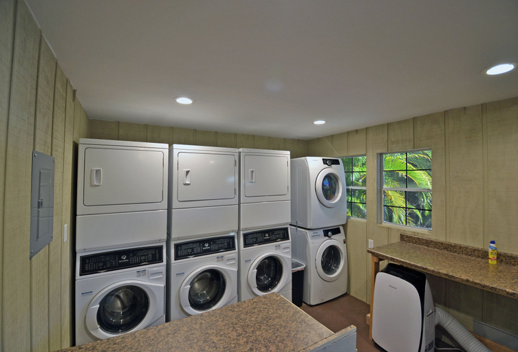 Interior 2, Siesta Heron 2, Sarasota