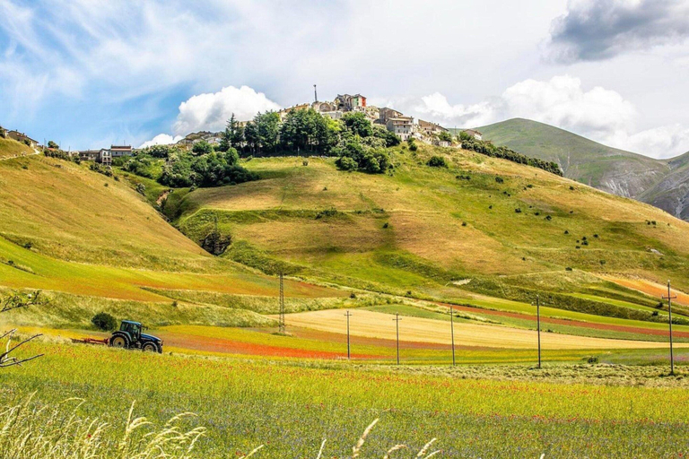 View from property 3, Holiday Home in Umbria Near Assisi, Perugia