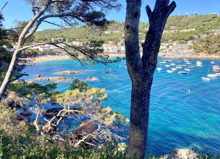 View from property 2, Apartment for 6 Persons in Costa Brava, Girona