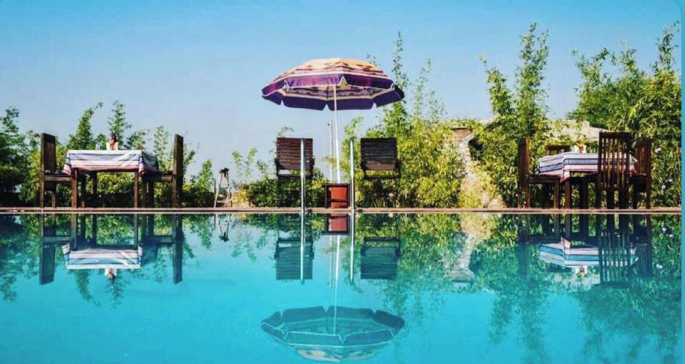 Pool 5, Leopard Valley, Mathura