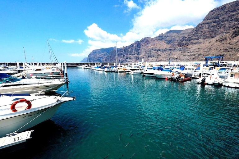 View from property 5, Apartment with Garden and BBQ in Tenerife, Santa Cruz de Tenerife