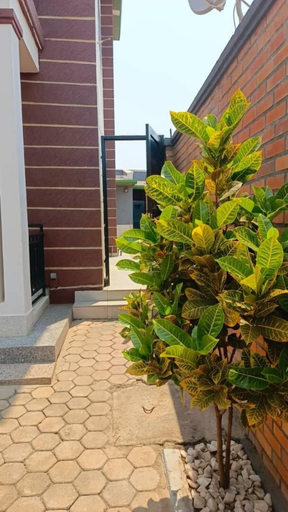 Exterior & Views 2, HOTEL DE SILVER BOTIQUE KiGALi, Gasabo