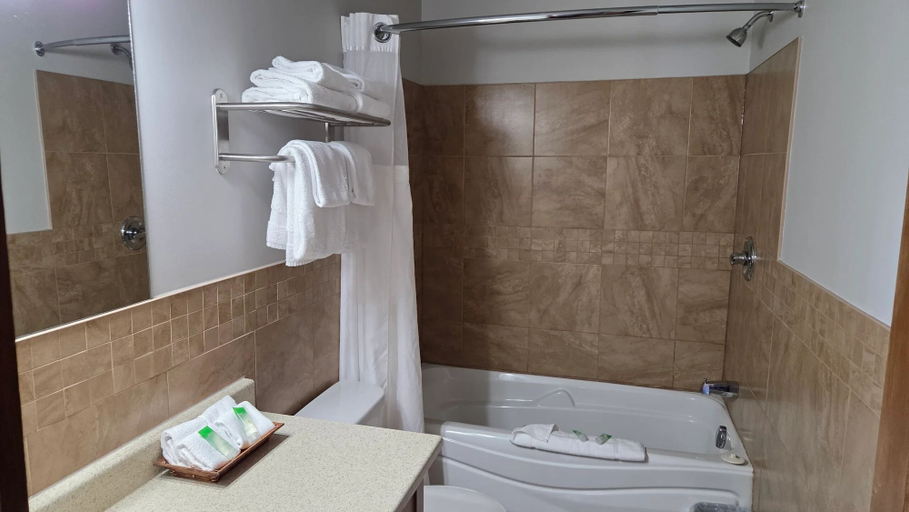 Bathroom 4, Motel & Chalets l'Acadien sur mer, Gloucester