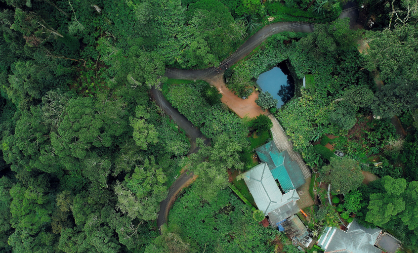 Primary image, Bracknell Resort Munnar, Idukki