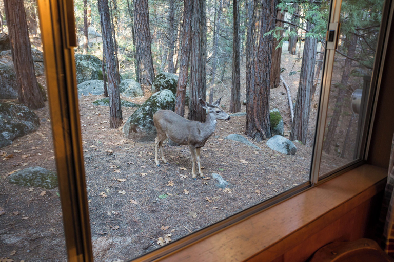 Interior 4, Pine Creek Cabin, Mariposa