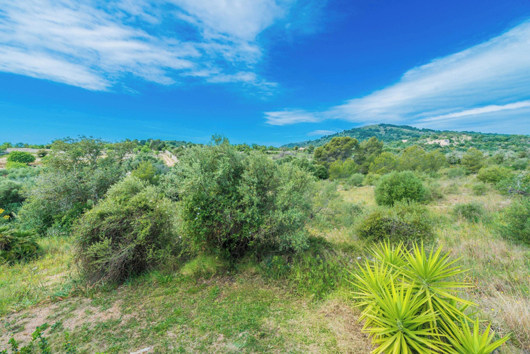 Others 2, Can Canals - Villa With Private Pool In Arta, Baleares