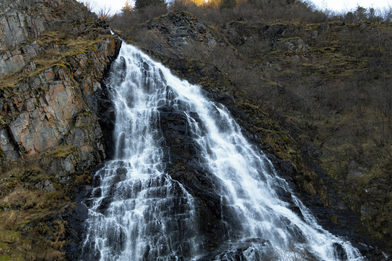 Ecotours, Valdez Lodge, Valdez-Cordova