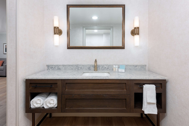 Bathroom 4, Hampton Inn Buffalo-Williamsville, Erie