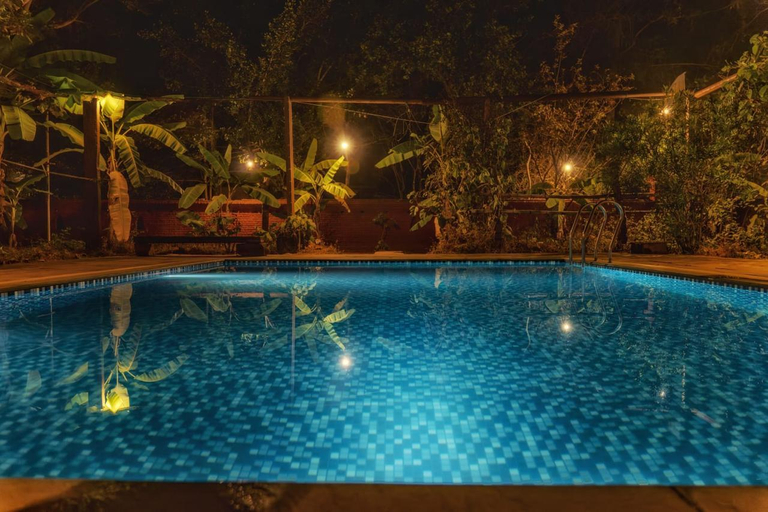 Sport & Beauty, Monsoon Forest Bandhavgarh, Umaria