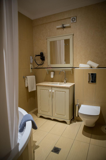 Bathroom 3, Irene's Resort, Central Macedonia