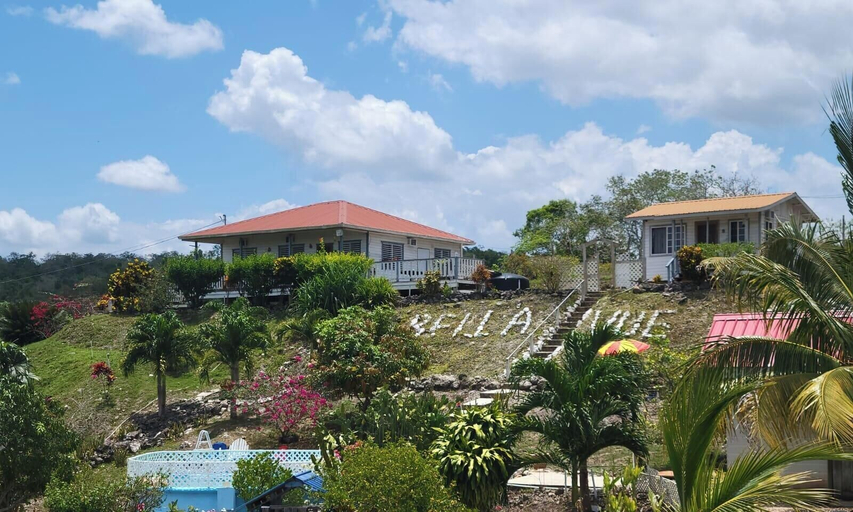 Primary image