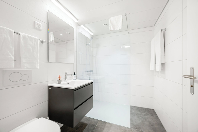 Bathroom 3, Hine Adon Avenches, Broye-Vully