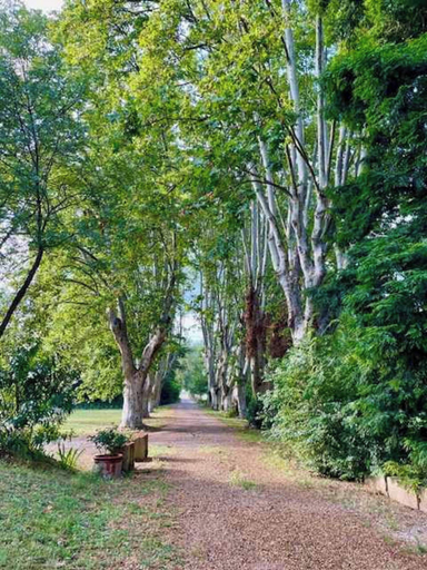 View from property 2, Elegant Bastide Near Aix With Pool, Bouches-du-Rhône