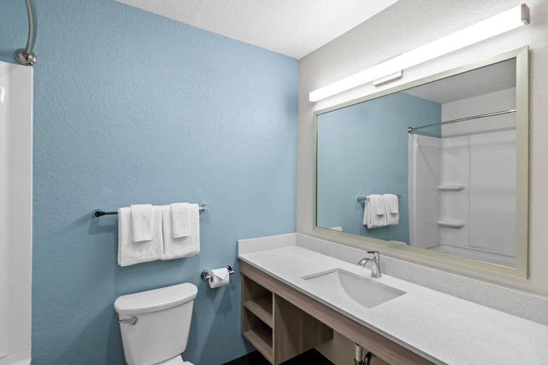 Bathroom, WoodSpring Suites Palm Springs – West Palm Beach, Palm Beach