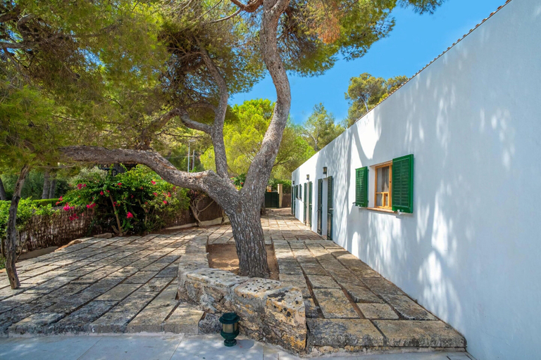 Garden 5, 10-guest Beachfront Villa in Mallorca, Baleares