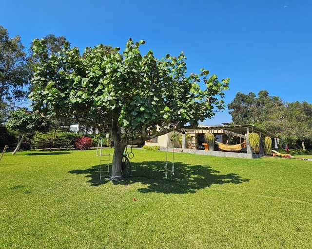 Property grounds 5, Casa Mala by Wynwood House, Cañete