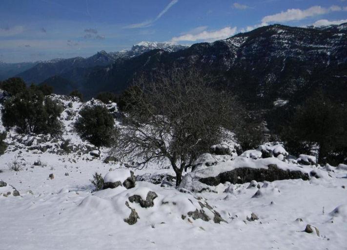 View from property 4, Charming Farmhouse With Private Pool, Córdoba