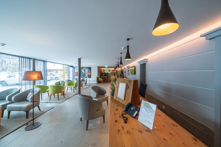 Public Area 2, The Alpina Mountain Resort, Plessur