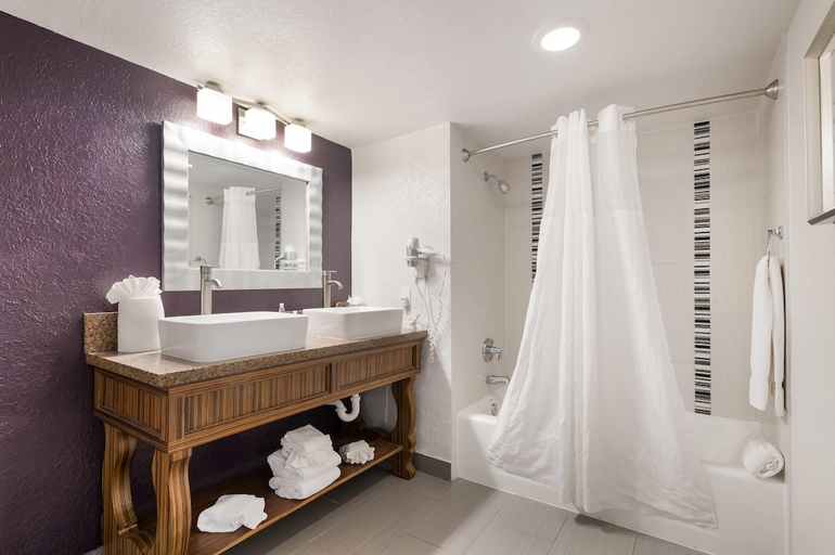 Bathroom 4, Clarion Inn & Suites Across From Universal Orlando Resort, Orange