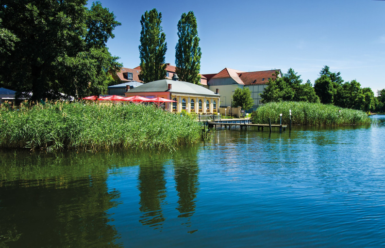 Primary image