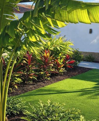 Property grounds, PASO CHICO GRAN CANARIA, Las Palmas