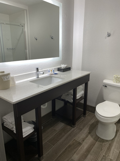 Bathroom 4, Comfort Inn & Suites Greer - Greenville, Greenville